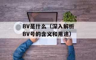 BV是什么（深入解析BV号的含义和用途）