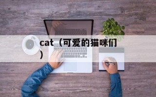 cat（可爱的猫咪们）