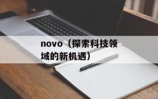 novo（探索科技领域的新机遇）