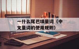 一什么尾巴填量词（中文量词的使用规则）
