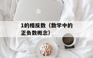 1的相反数（数学中的正负数概念）