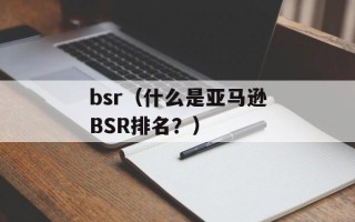 bsr（什么是亚马逊BSR排名？）