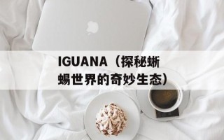 IGUANA（探秘蜥蜴世界的奇妙生态）
