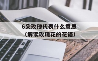 6朵玫瑰代表什么意思（解读玫瑰花的花语）