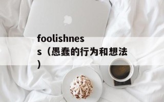 foolishness（愚蠢的行为和想法）