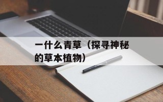 一什么青草（探寻神秘的草本植物）