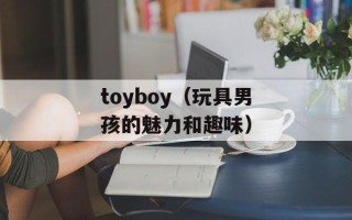 toyboy（玩具男孩的魅力和趣味）