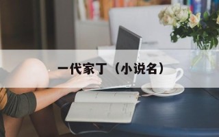 一代家丁（小说名）