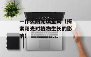 一什么阳光填量词（探索阳光对植物生长的影响）