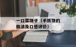 一口菜饼子（手抓饼的做法及口感评价）