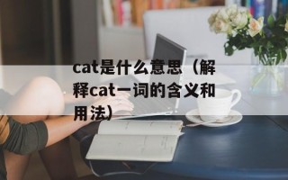 cat是什么意思（解释cat一词的含义和用法）
