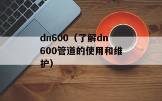 dn600（了解dn600管道的使用和维护）