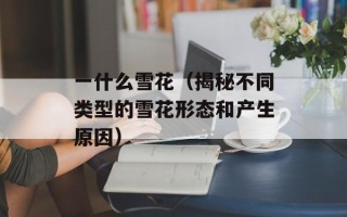 一什么雪花（揭秘不同类型的雪花形态和产生原因）