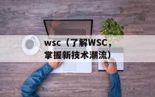 wsc（了解WSC，掌握新技术潮流）
