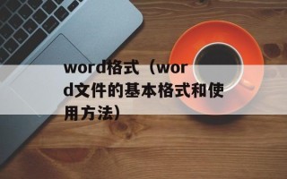 word格式（word文件的基本格式和使用方法）
