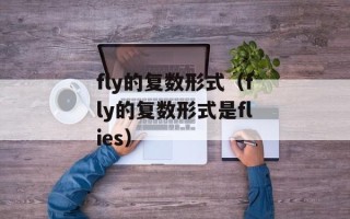fly的复数形式（fly的复数形式是flies）