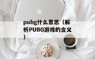 pubg什么意思（解析PUBG游戏的含义）