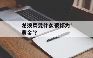 龙须菜凭什么被称为'黄金'？