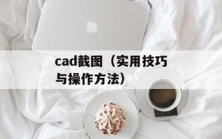 cad截图（实用技巧与操作方法）