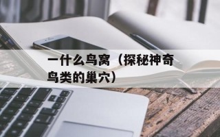 一什么鸟窝（探秘神奇鸟类的巢穴）