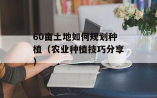 60亩土地如何规划种植（农业种植技巧分享）