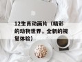 12生肖动画片（精彩的动物世界，全新的视觉体验）