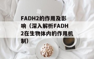 FADH2的作用及影响（深入解析FADH2在生物体内的作用机制）