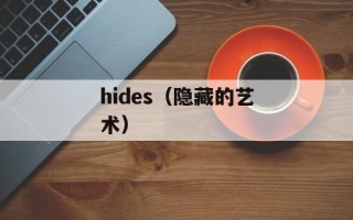 hides（隐藏的艺术）