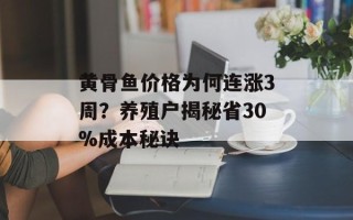 黄骨鱼价格为何连涨3周？养殖户揭秘省30%成本秘诀