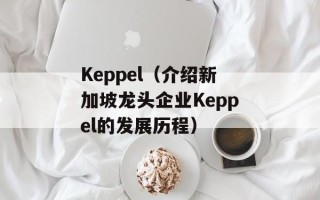 Keppel（介绍新加坡龙头企业Keppel的发展历程）