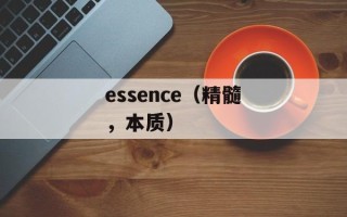 essence（精髓，本质）