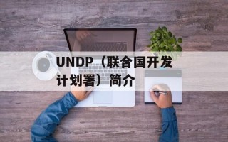 UNDP（联合国开发计划署）简介