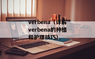 verbena（详解verbena的种植和护理技巧）
