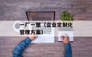 一厂一策（企业定制化管理方案）
