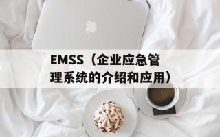 EMSS（企业应急管理系统的介绍和应用）