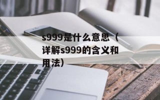 s999是什么意思（详解s999的含义和用法）
