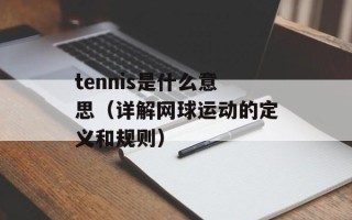 tennis是什么意思（详解网球运动的定义和规则）