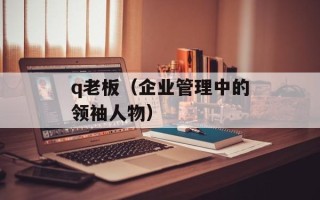 q老板（企业管理中的领袖人物）
