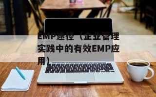 EMP途径（企业管理实践中的有效EMP应用）