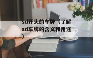 sd开头的车牌（了解sd车牌的含义和用途）
