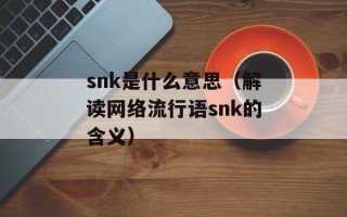 snk是什么意思（解读网络流行语snk的含义）