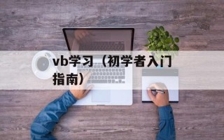 vb学习（初学者入门指南）