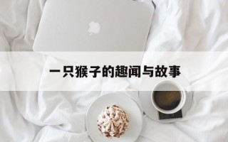 一只猴子的趣闻与故事