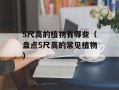 5尺高的植物有哪些（盘点5尺高的常见植物）