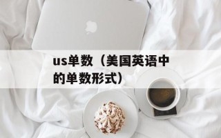 us单数（美国英语中的单数形式）