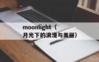 moonlight（月光下的浪漫与美丽）