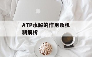 ATP水解的作用及机制解析