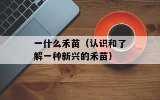 一什么禾苗（认识和了解一种新兴的禾苗）