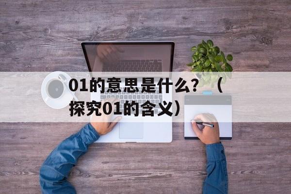 01的意思是什么？（探究01的含义）-第1张图片-