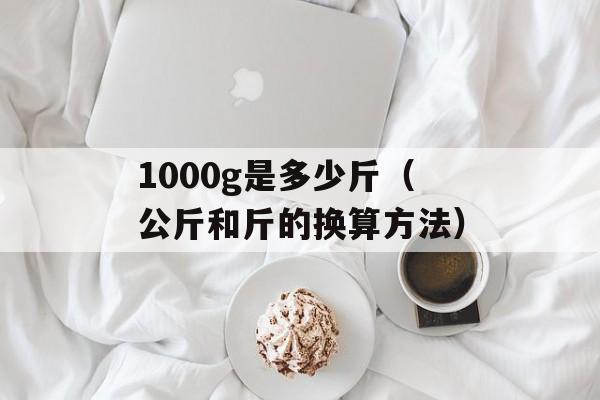1000g是多少斤（公斤和斤的换算方法）-第1张图片-